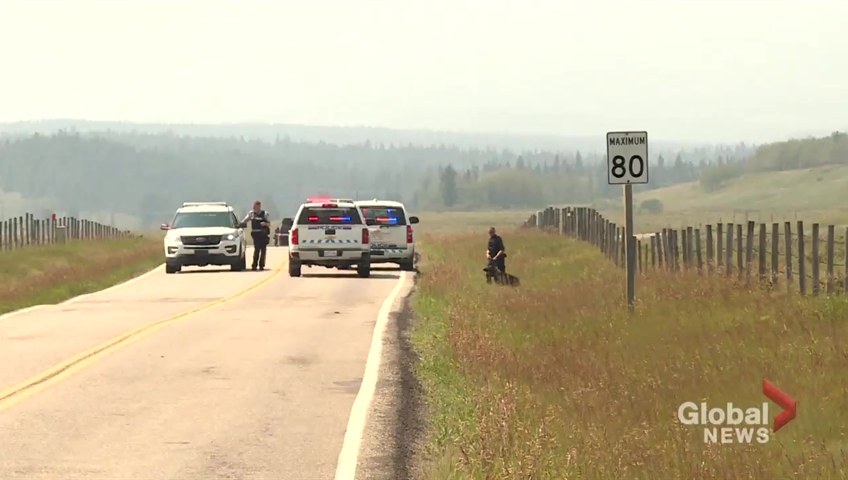 Tourist Destination Rebuts Safety Claims After Recent Shooting Incident Tourist Destination Rebuts Safety Claims After Recent Shooting Incident