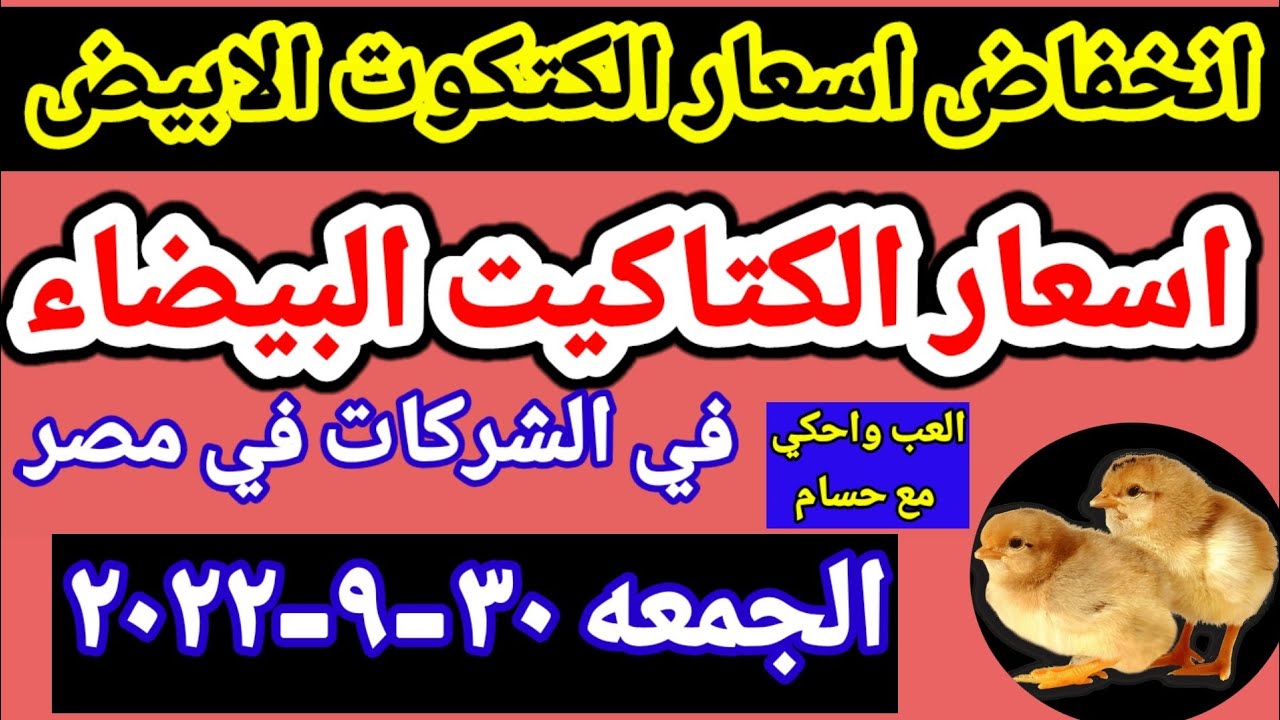 تقرير أسعار الكتاكيت اليوم الاثنين 14-4-2025 في مصر تقرير أسعار الكتاكيت اليوم الاثنين 14-4-2025 في مصر