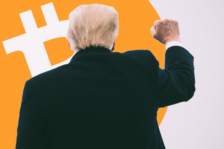 Trump's Crypto Czar Predicts Further Bitcoin Growth Following Price Surge Trump's Crypto Czar Predicts Further Bitcoin Growth Following Price Surge