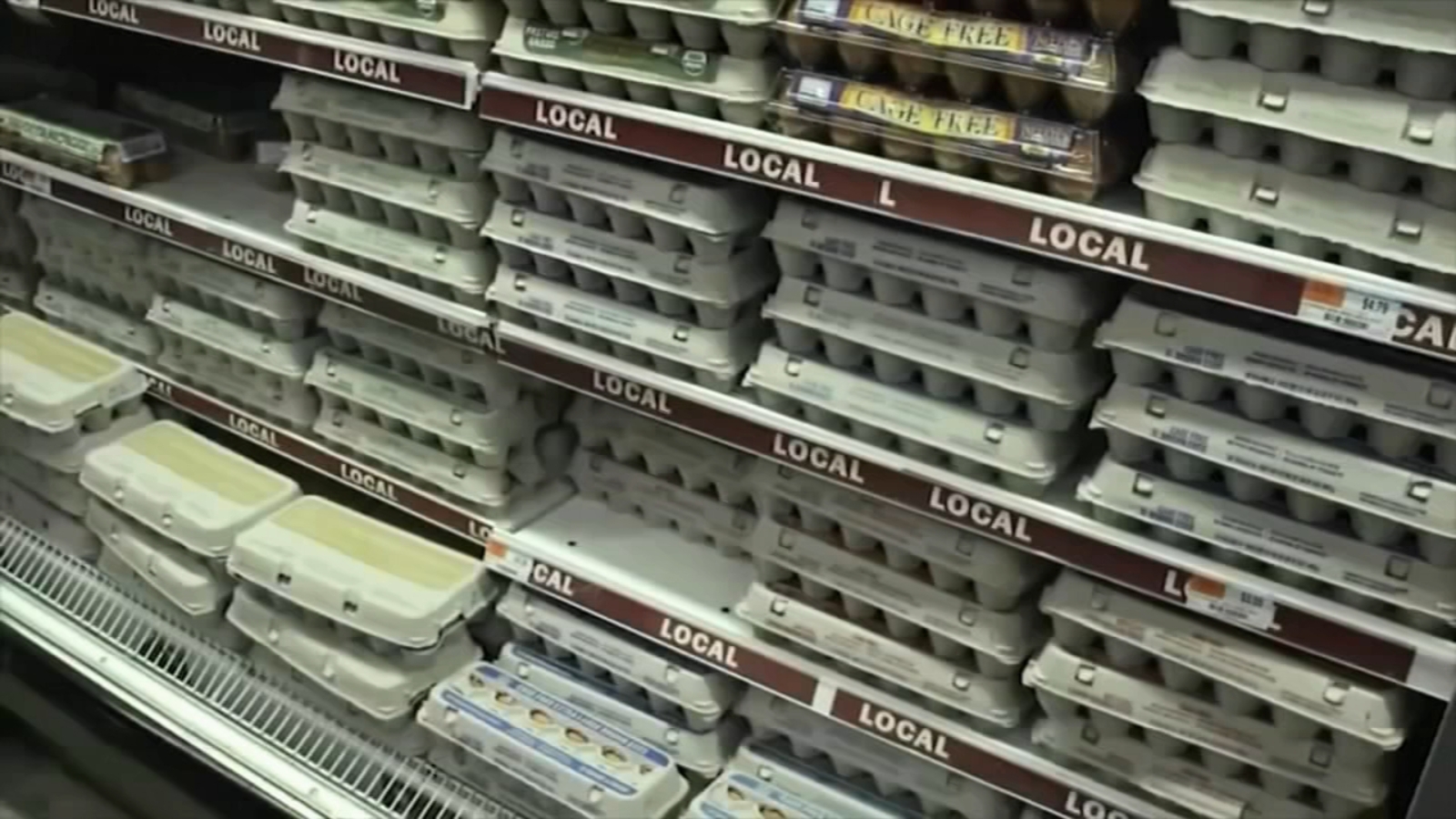 Trump's Egg Price Prediction: From Fiction To Reality? Trump's Egg Price Prediction: From Fiction To Reality?