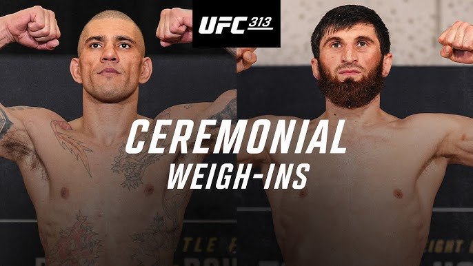 UFC 313 Results: A Comprehensive Review Of Knockout And Submission Wins UFC 313 Results: A Comprehensive Review Of Knockout And Submission Wins