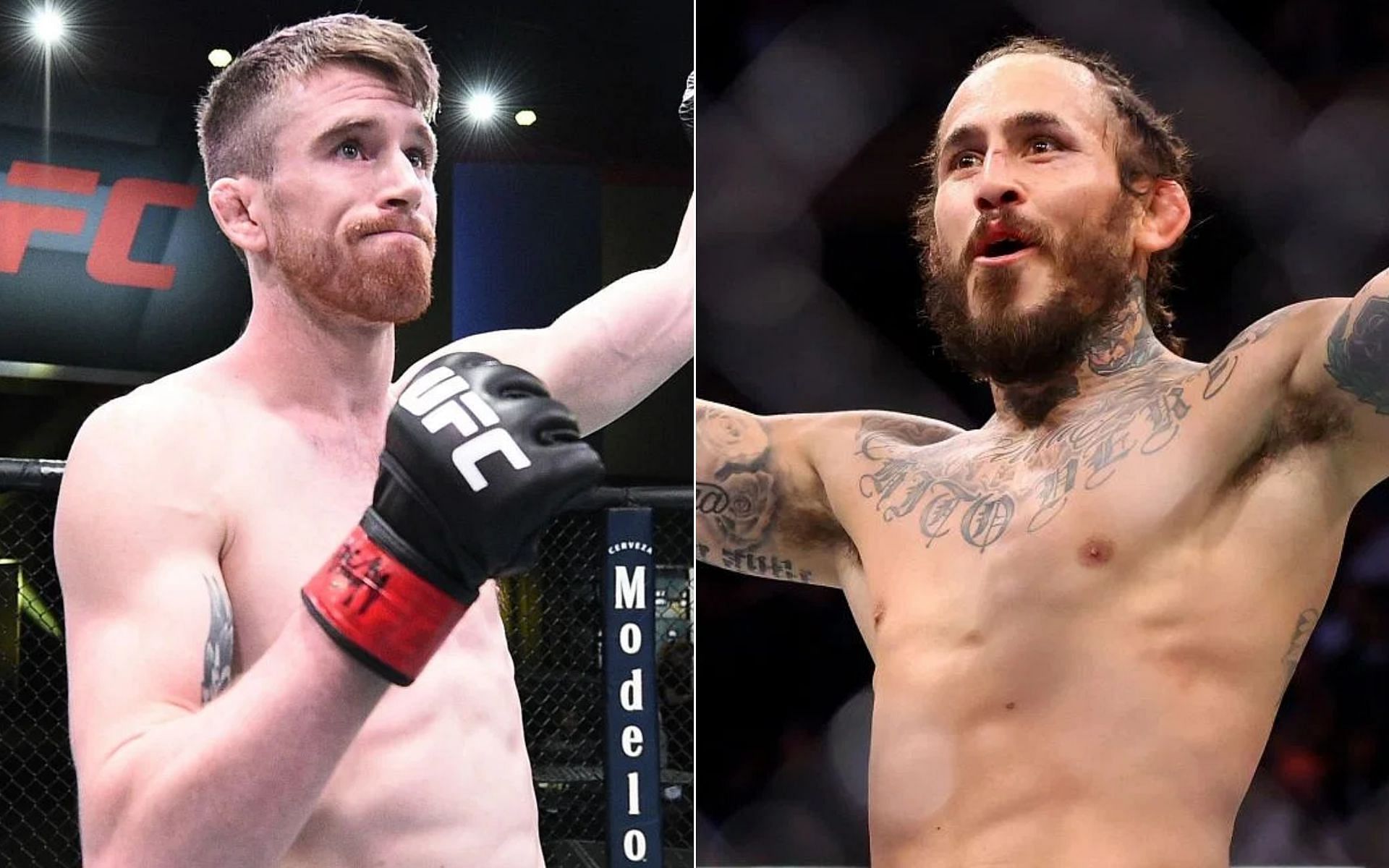 UFC Fight Night: Analyzing The Sandhagen Vs. Figueiredo Main Event UFC Fight Night: Analyzing The Sandhagen Vs. Figueiredo Main Event
