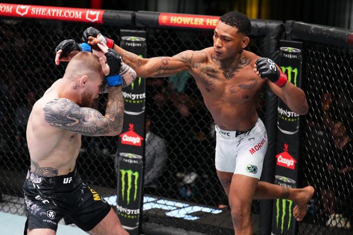 UFC's Michael Morales: A Deep Dive Into The Undefeated Fighter UFC's Michael Morales: A Deep Dive Into The Undefeated Fighter
