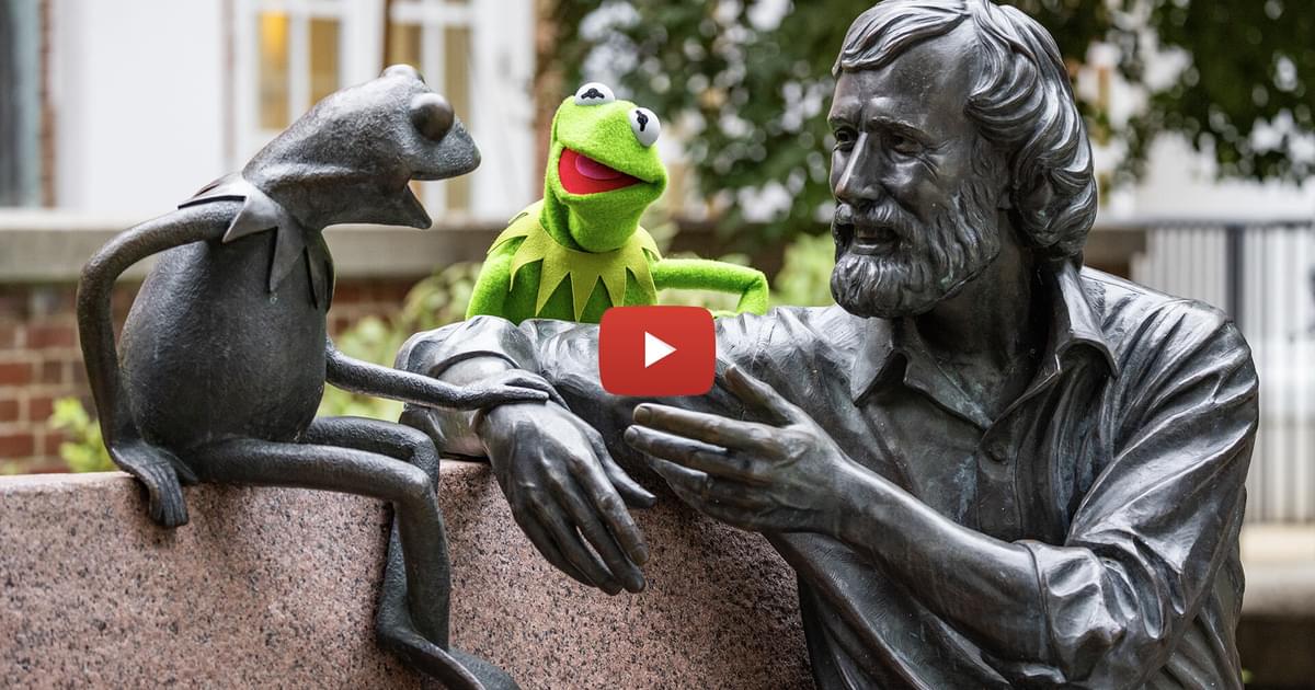 UMD 2025 Commencement: Kermit The Frog To Address Graduates UMD 2025 Commencement: Kermit The Frog To Address Graduates