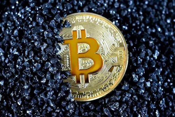 Understanding The Bitcoin Rebound: A Guide For Investors Understanding The Bitcoin Rebound: A Guide For Investors