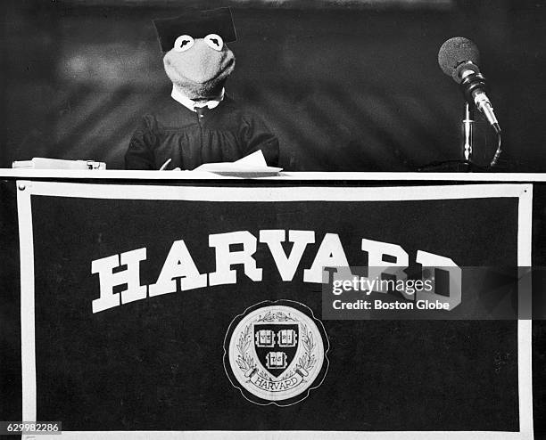 University Of Maryland Chooses Kermit The Frog For 2025 Commencement University Of Maryland Chooses Kermit The Frog For 2025 Commencement