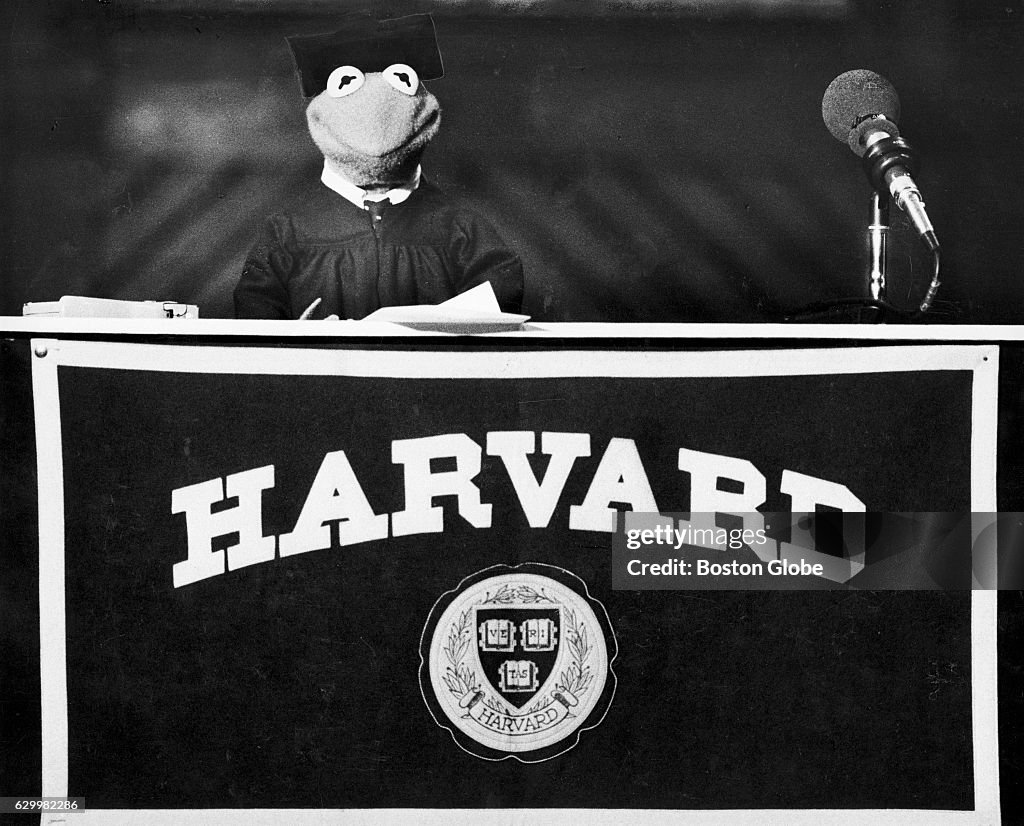 University Of Maryland's Unexpected 2025 Commencement Speaker: Kermit The Frog University Of Maryland's Unexpected 2025 Commencement Speaker: Kermit The Frog