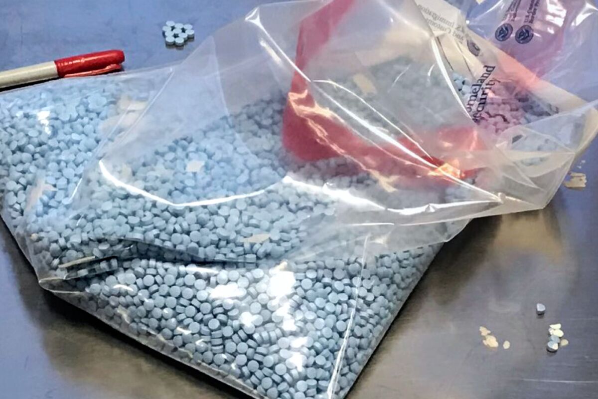 Unprecedented Fentanyl Seizure: Bondi's Statement And Its Implications Unprecedented Fentanyl Seizure: Bondi's Statement And Its Implications