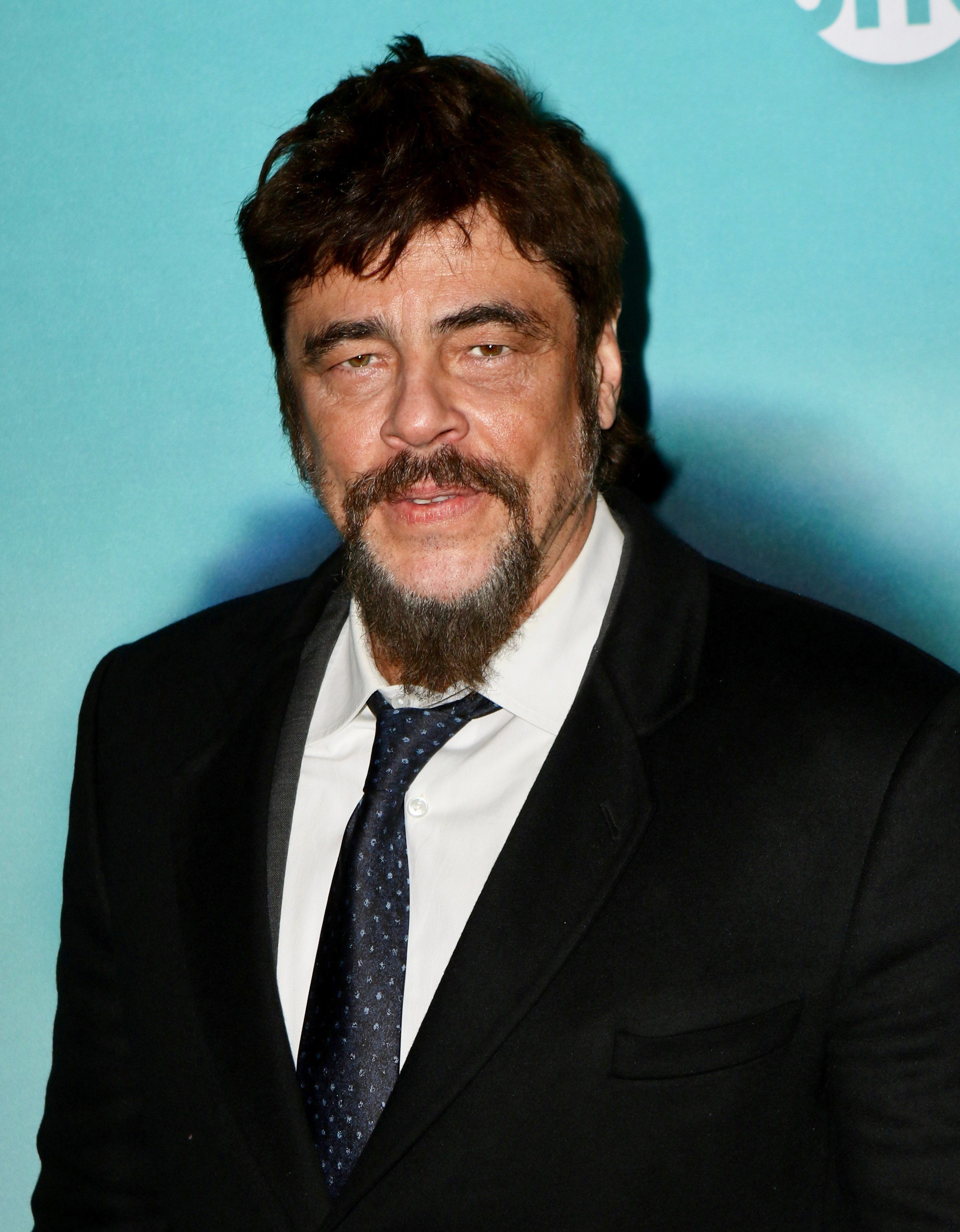 Unveiling The Plan: The Gift Designed For Benicio Del Toro Unveiling The Plan: The Gift Designed For Benicio Del Toro
