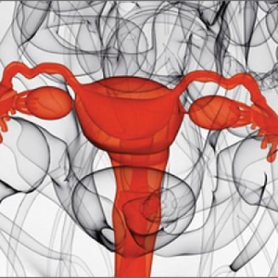 Uterus Transplantation: A New Pathway To Motherhood For Transgender Women? Uterus Transplantation: A New Pathway To Motherhood For Transgender Women?