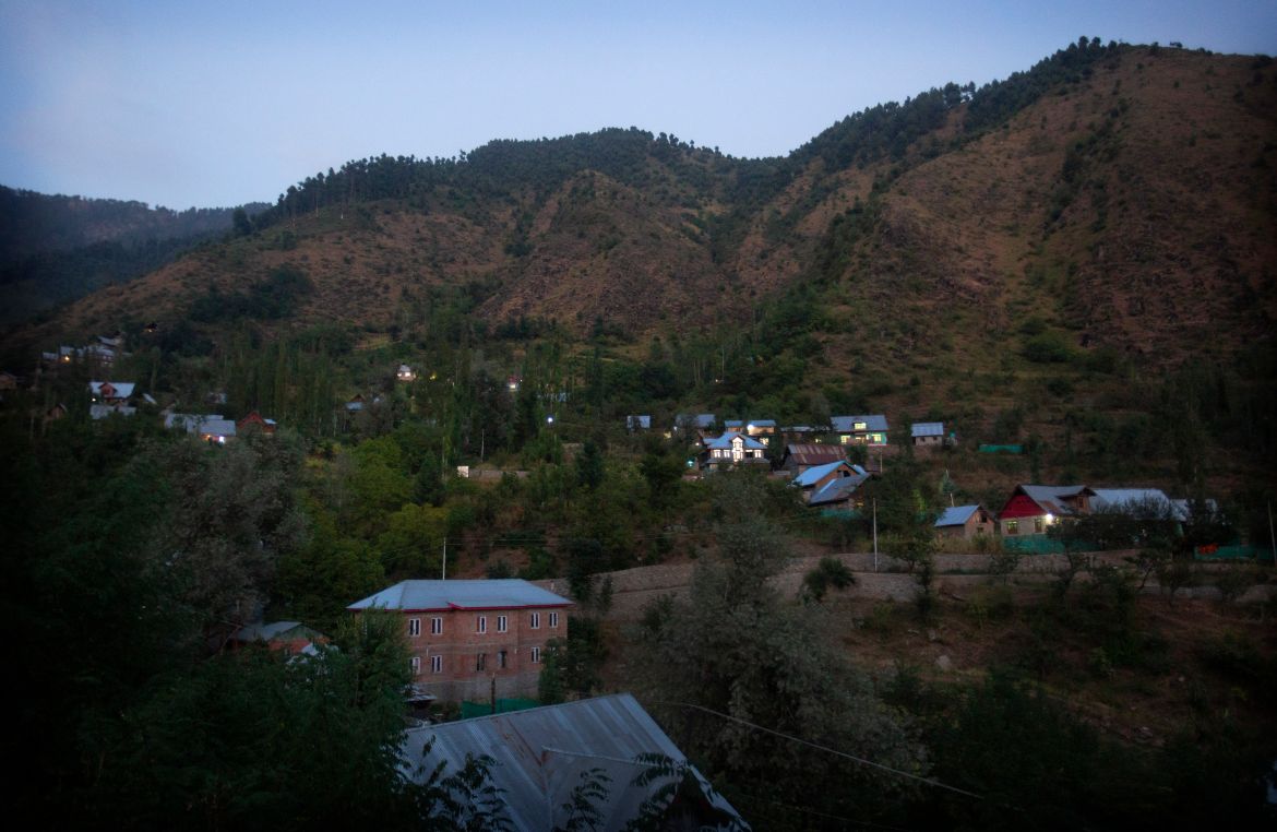 Viral Posts Cause Upset Among Cat Owners In Kashmir
