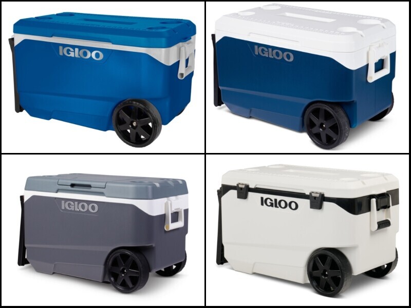 Walmart Recalls Igloo Coolers: Potential For Serious Fingertip Injuries Walmart Recalls Igloo Coolers: Potential For Serious Fingertip Injuries