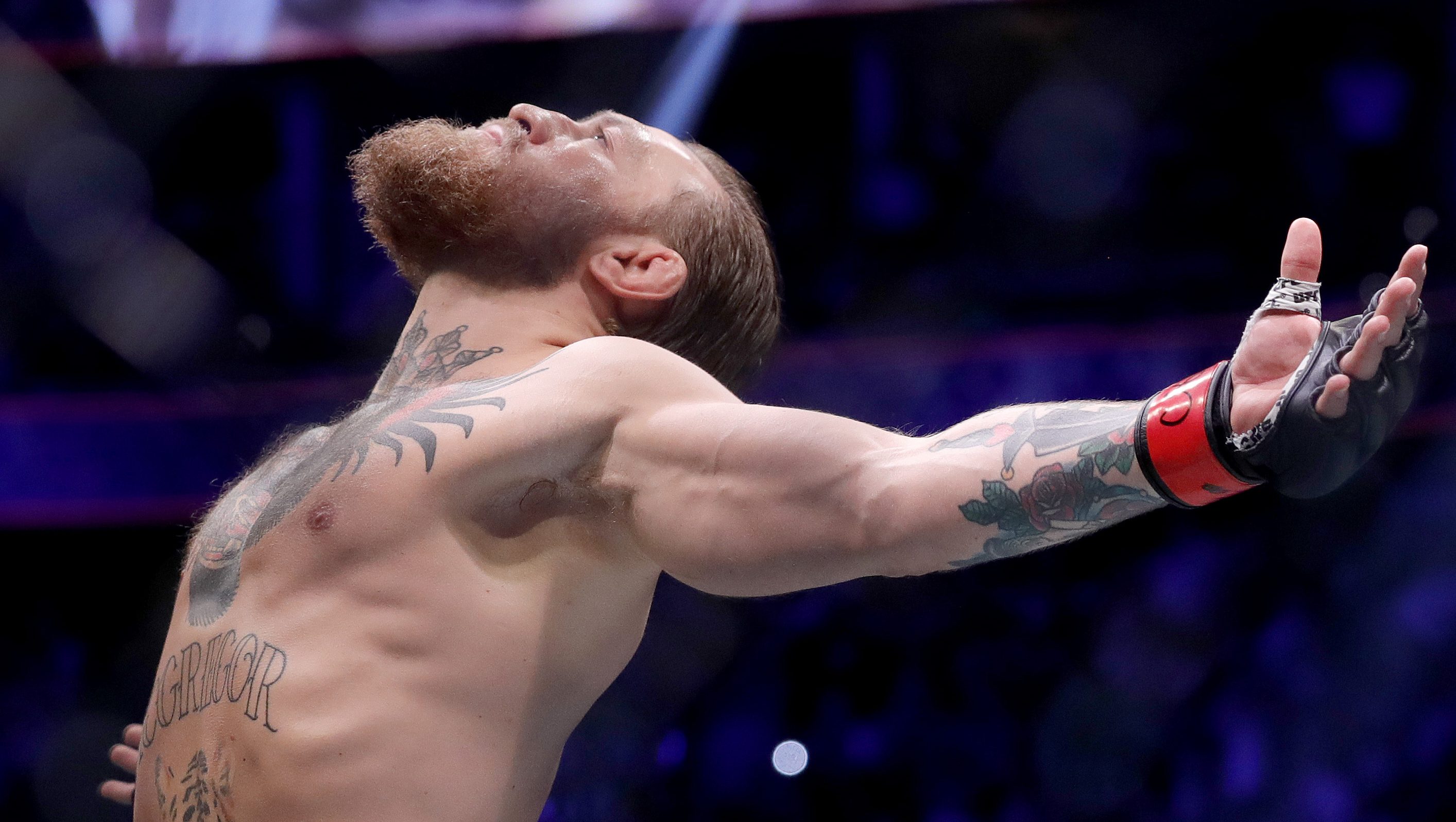 What Did Conor McGregor Say On Fox News? What Did Conor McGregor Say On Fox News?
