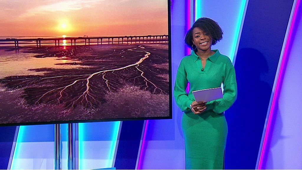 Where To Watch Newsround On BBC Two HD: Your Guide Where To Watch Newsround On BBC Two HD: Your Guide