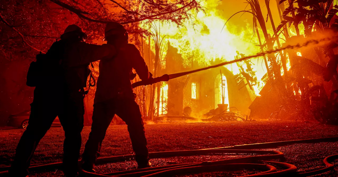 Wildfire Speculation: Examining The LA Fires Betting Market Wildfire Speculation: Examining The LA Fires Betting Market