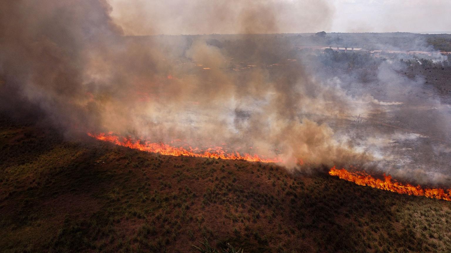 Wildfires Drive Unprecedented Global Forest Loss In 2023 Wildfires Drive Unprecedented Global Forest Loss In 2023
