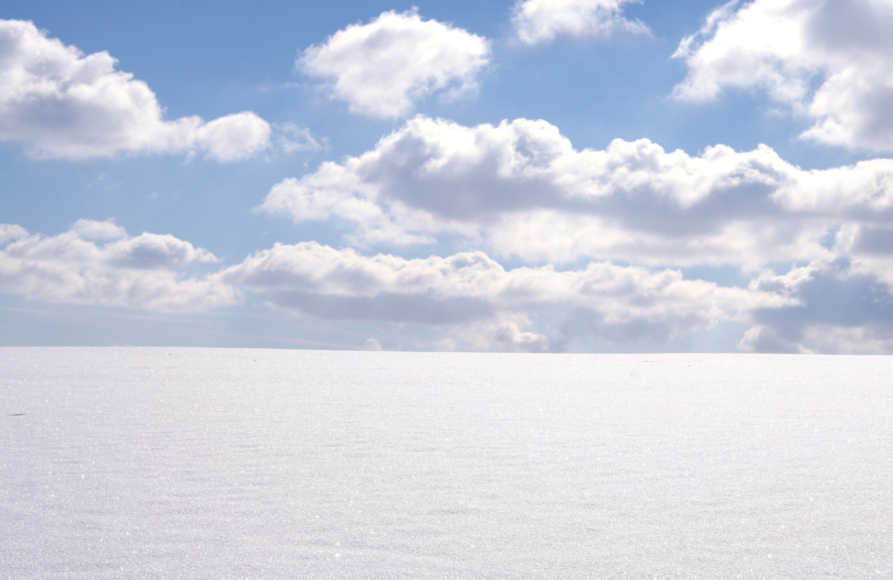 Winter Storm Impacts: Friday School Closures And Trash Collection Delays Winter Storm Impacts: Friday School Closures And Trash Collection Delays