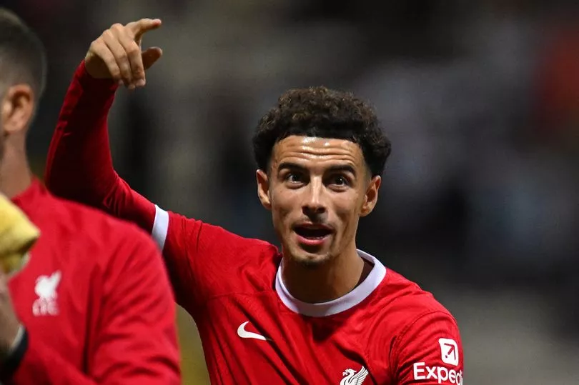World-Class Striker's Liverpool Interest: Arsenal's Transfer Worry World-Class Striker's Liverpool Interest: Arsenal's Transfer Worry