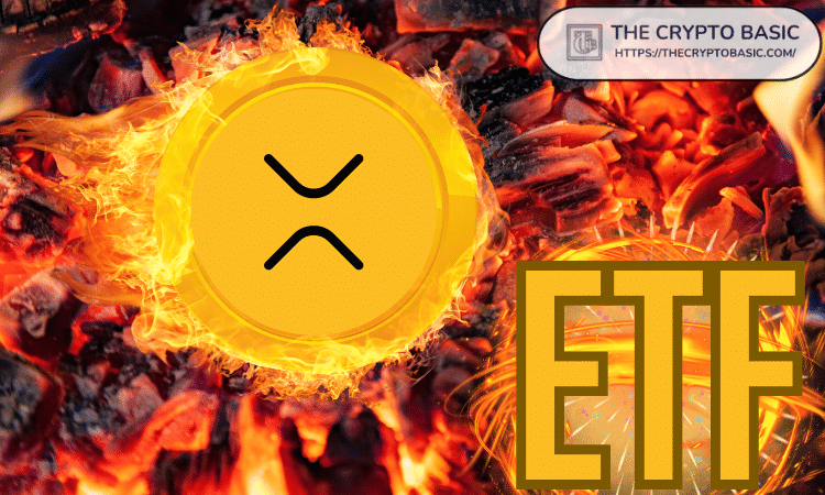 XRP ETF Approval: Analyzing The Potential For Immediate $800 Million Inflows XRP ETF Approval: Analyzing The Potential For Immediate $800 Million Inflows